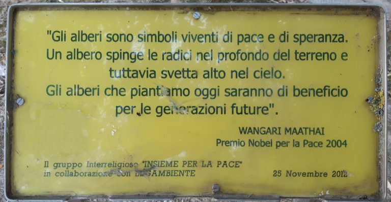 Intercessione per la pace